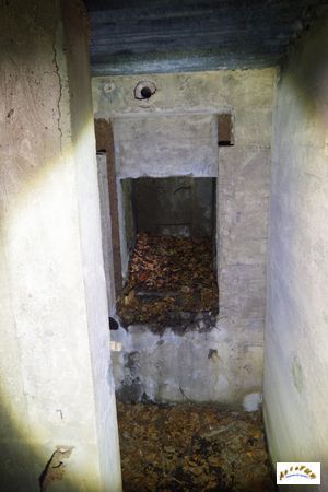 13 tunnel la corbeille 10