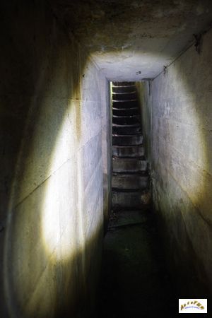 13 tunnel la corbeille 14