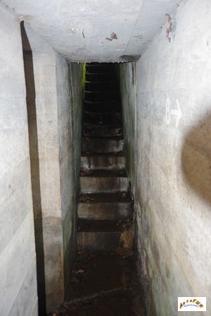 13 tunnel la corbeille 15