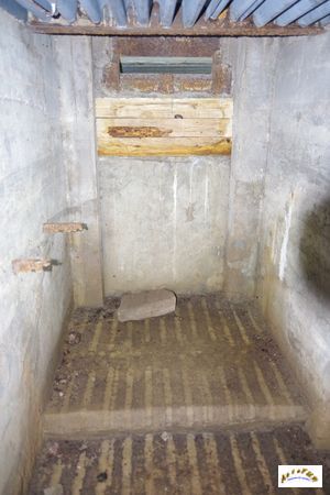 13 tunnel la corbeille 17