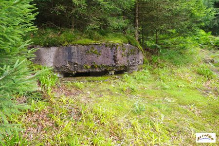 13 tunnel la corbeille 21