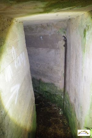 13 tunnel la corbeille 3