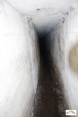 13 tunnel la corbeille 5