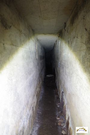 13 tunnel la corbeille 7