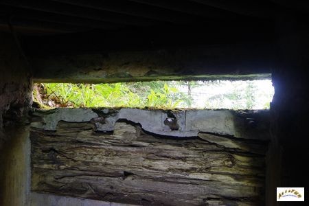 13 tunnel la corbeille 9