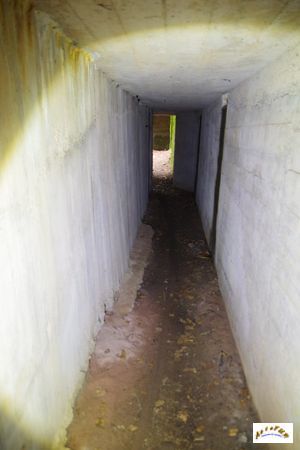 15 batterie artillerie 11