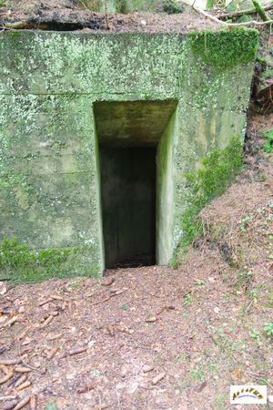 15 batterie artillerie 15