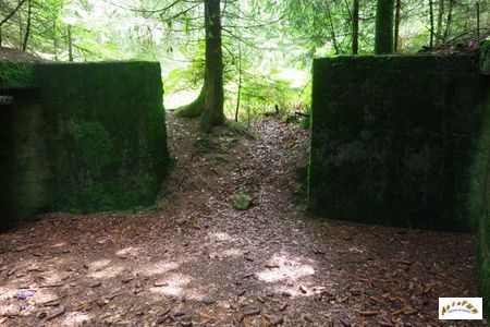 15 batterie artillerie 16