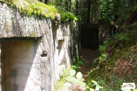 15 batterie artillerie 2