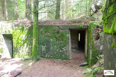 15 batterie artillerie 3