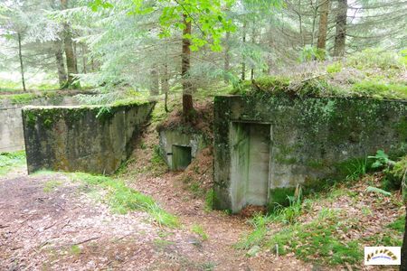 16 batterie artillerie 1