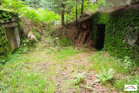 16 batterie artillerie 13