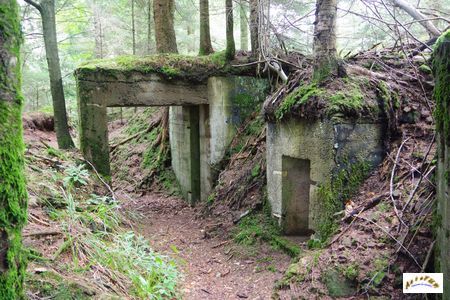 16 batterie artillerie 14