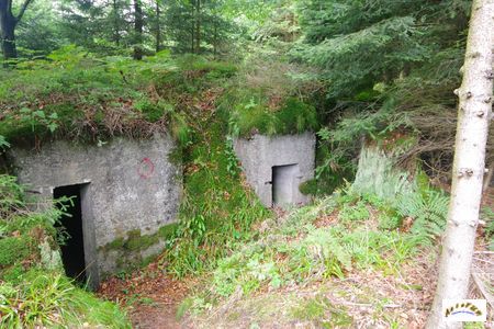 16 batterie artillerie 19