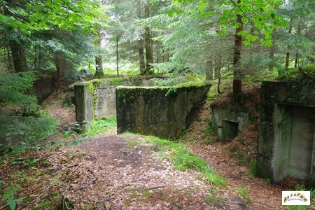 16 batterie artillerie 2