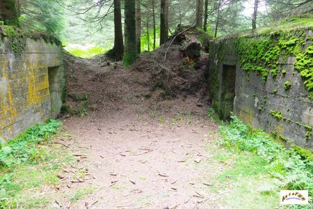 16 batterie artillerie 3