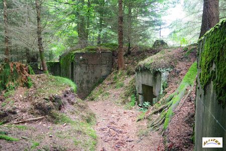 16 batterie artillerie 4