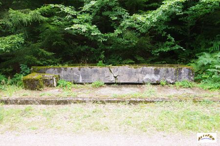 18 abreuvoir étoile II -1