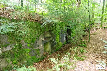 21 batterie abreuvoir morveux 10