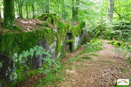 21 batterie abreuvoir morveux 14