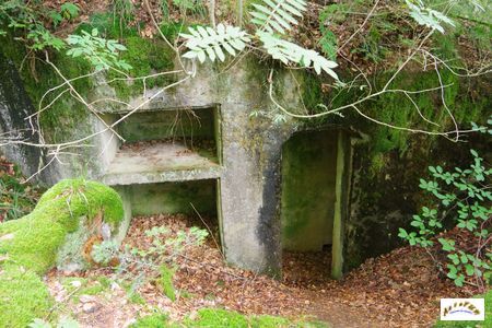 21 batterie abreuvoir morveux 15