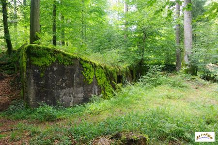 21 batterie abreuvoir morveux 2