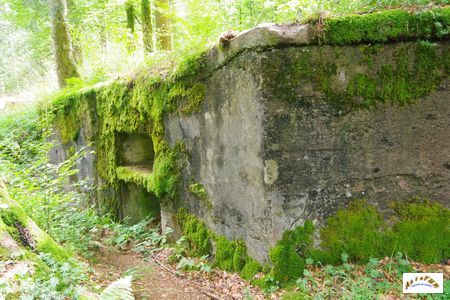 21 batterie abreuvoir morveux 3