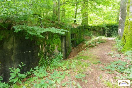 21 batterie abreuvoir morveux 5