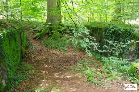 21 batterie abreuvoir morveux 6