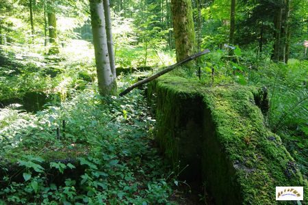 23 téléphérique 4