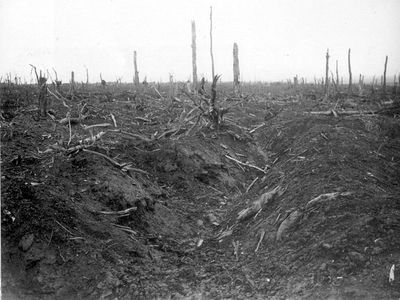 german trench Delville wood