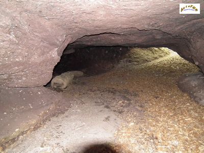 grotte des poilus 12