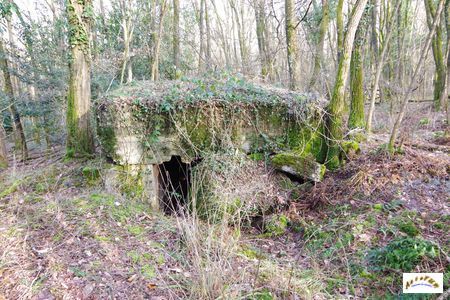 casemate cote 425N-1