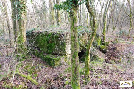 casemate cote 425N-2