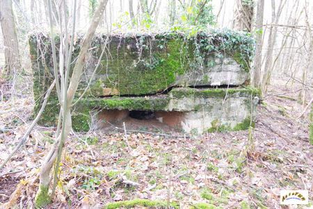 casemate cote 425N-3