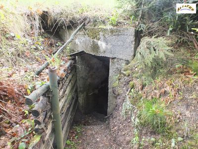 bunker 39