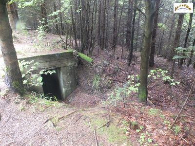 bunker 41