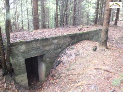 bunker 45