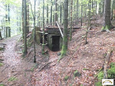 bunker 49