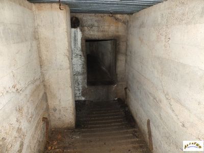 bunker 80