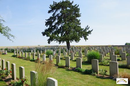 cimetiere chinois 2026-20
