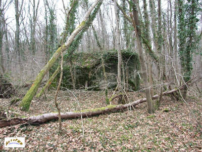 bunker dans la forêt