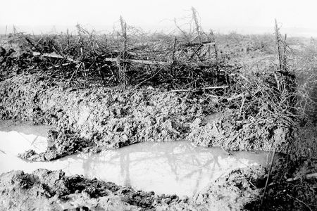 Barbed wire at Beaumont Hamel