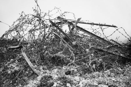 The battle of the Somme july november 1916 W77
