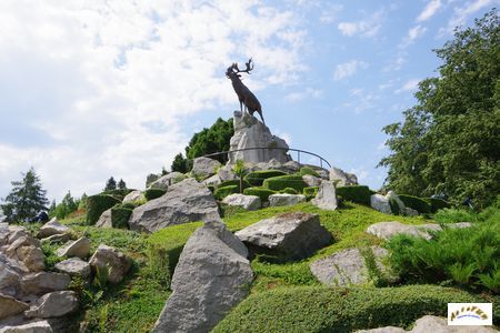 memorial terre neuvien 2026-12