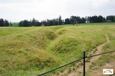 memorial terre neuvien 2026-22