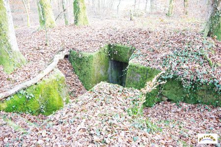 mortzwiller gollenmatt 6