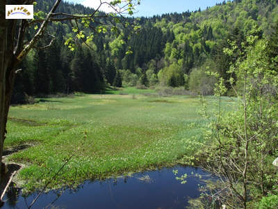 l'étang du devin