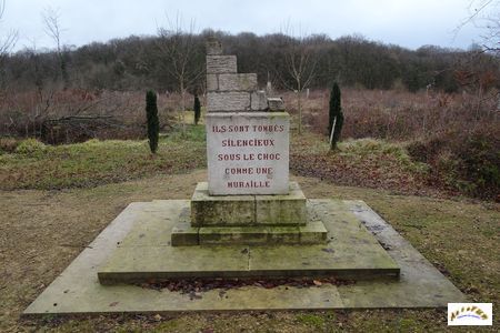 Bois Caures stele driant W2