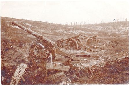 Frech long gun batterie Verdun 1